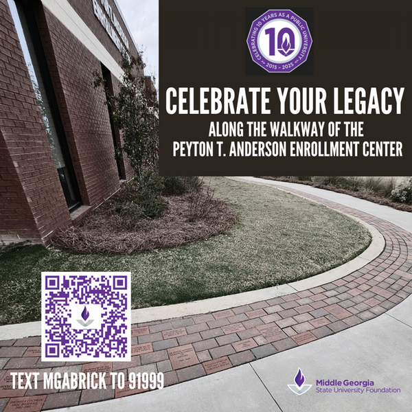 Bric campaign graphic with info memtioned in post